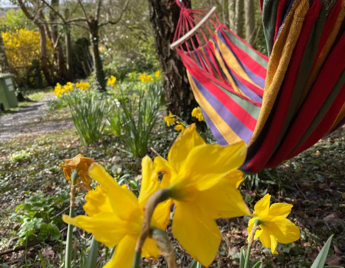 Retro Private Lodge With Hot Tub Nr Dartmoor Newton Abbot Exteriör bild